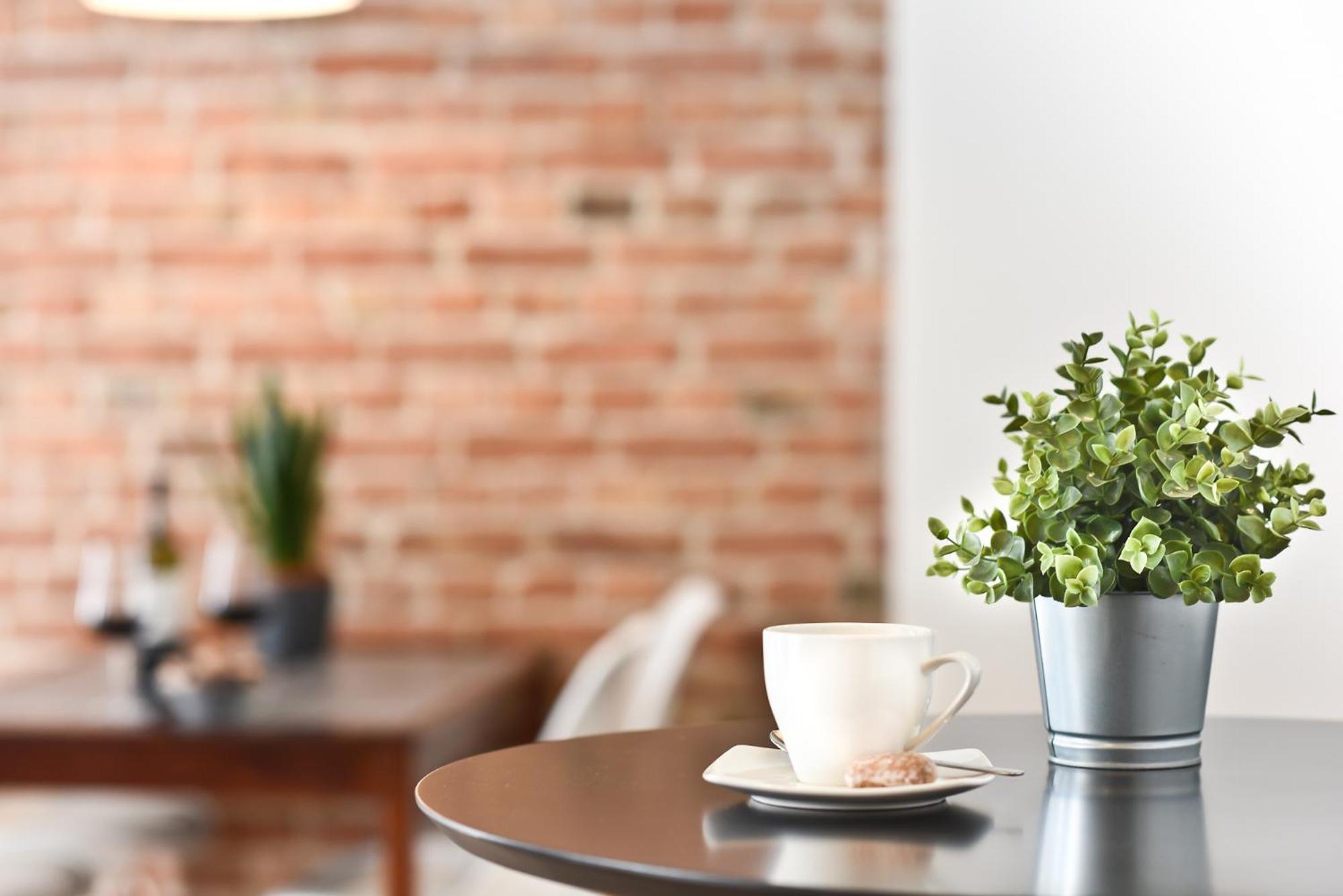 Stary Toruń Green Garden Apartment מראה חיצוני תמונה